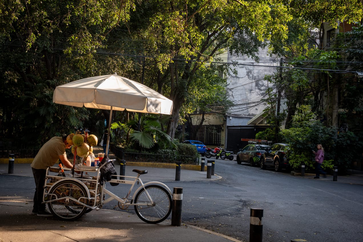 Quick Shots From Mexico City 🇲🇽