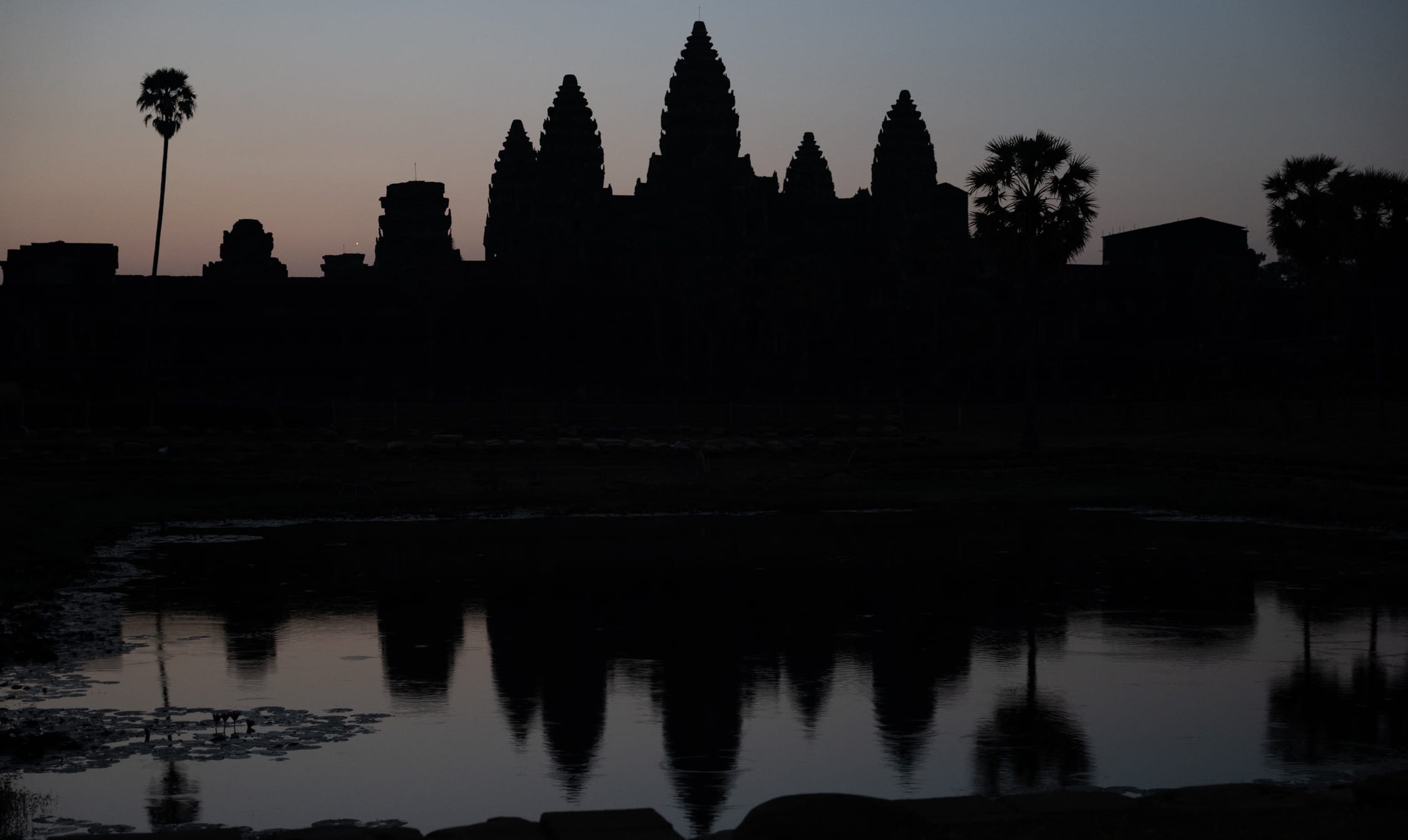 Angkor Wat, Cambodia: Asia Spring 2024 Part IV 🇰🇭