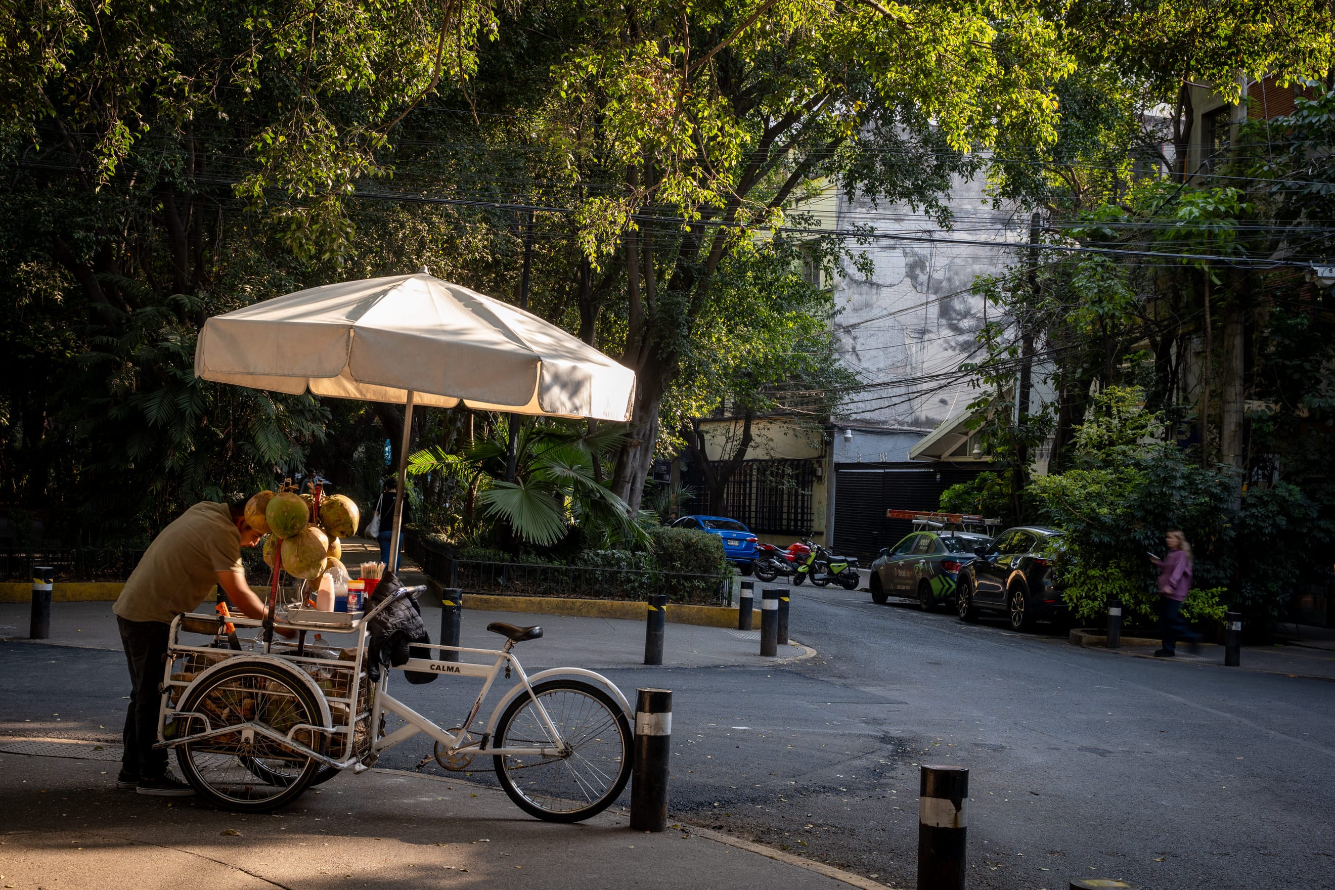 Quick Shots From Mexico City 🇲🇽