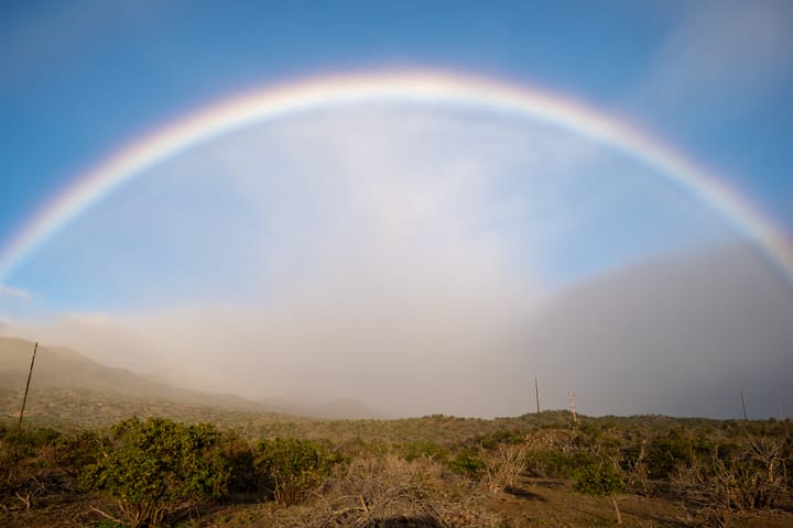 The Big Island, Hawaii - Turtles, Coffee, and Lava 🌺🌴🌊🐢